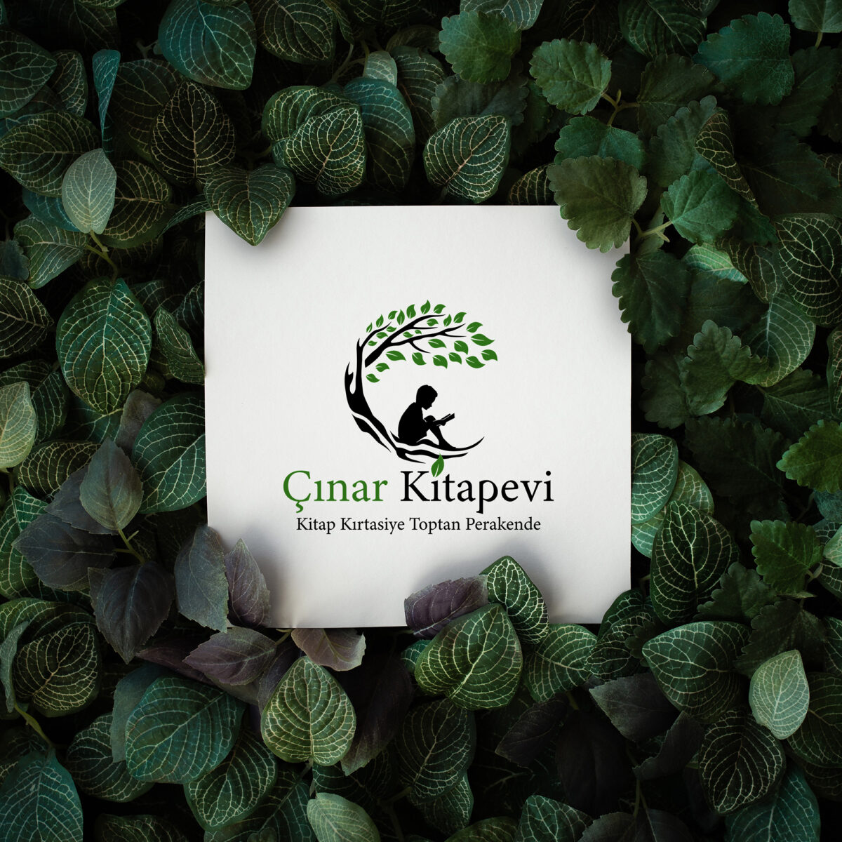 Çınar Kitapevi logo
